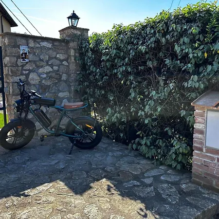 L'avvocato
