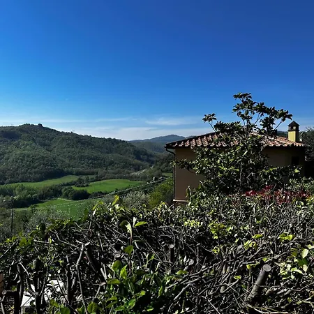 L'avvocato Poggio Aquilone
