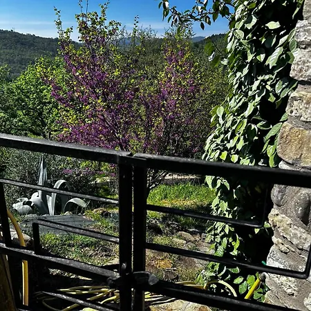 L'avvocato * Poggio Aquilone