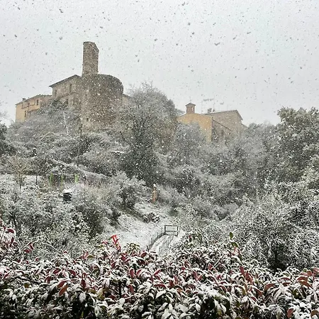 L'avvocato Apartment