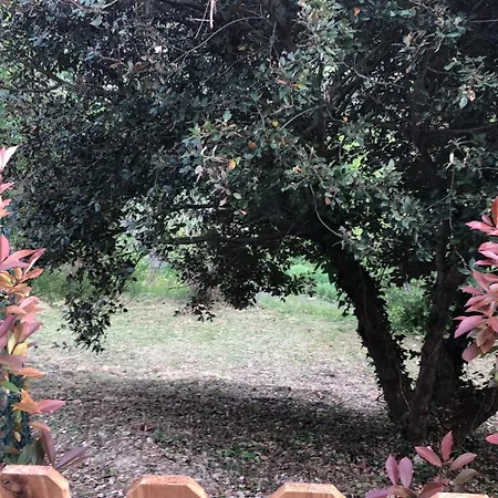 L'avvocato * Poggio Aquilone